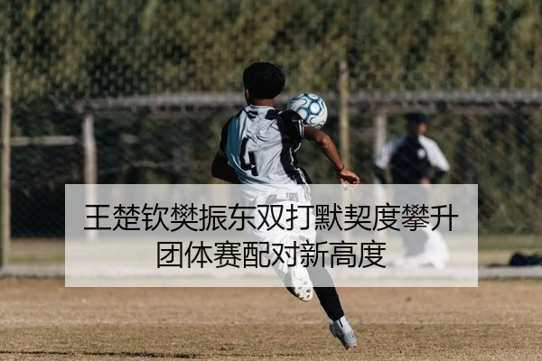 王楚钦樊振东双打默契度攀升 团体赛配对新高度